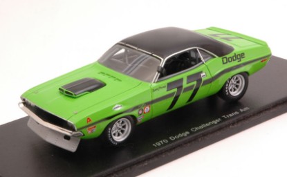 Immagine di DODGE CHALLENGER N.77 5th TRANS AM MID OHIO SAM POSEY 1:43