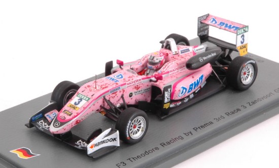 Immagine di DALLARA F3 N.3 3rd RACE 3 ZANDVOORT GP 2017 M.GUNTHER 1:43