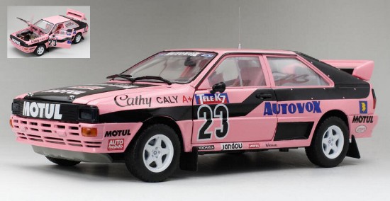 Immagine di AUDI QUATTRO N.23 FRENCH RALLYCROSS 1987 CATHY CALY 1:18