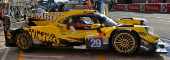 Immagine di ORECA 07 N.29 LM 2020 N.DE VRIES-G.VAN DER GARDE-F.VAN EERD 1:43