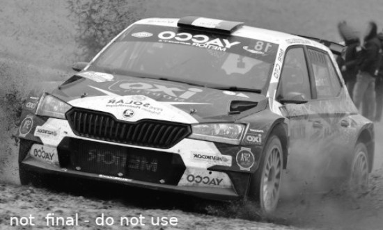 Immagine di SKODA FABIA R5 EVO N.18 RALLY CONDROZ 2019 DE CECCO/HUMBLET 1:18
