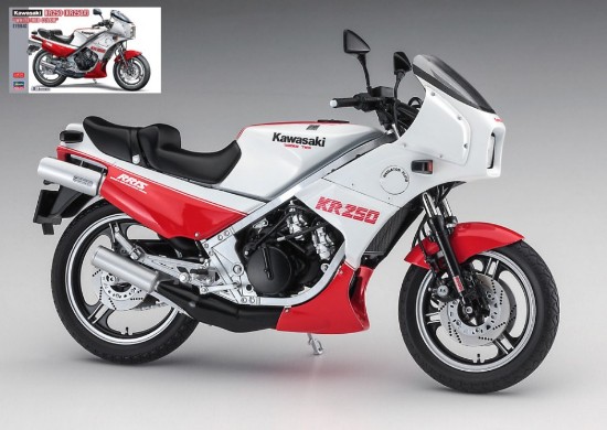 Immagine di KAWASAKI KR250 WHITE/RED COLOR KIT 1:12