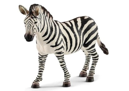 Immagine di GIOVANE FEMMINA DI ZEBRA 12 x 3,2 x 8,5 cm
