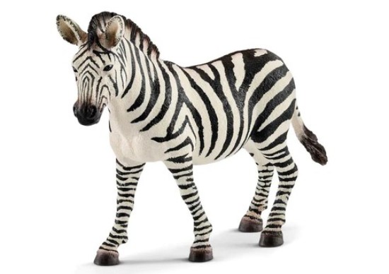 Immagine di GIOVANE FEMMINA DI ZEBRA 12 x 3,2 x 8,5 cm
