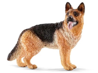 Immagine di CANE DA PASTORE
