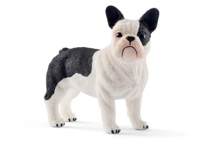 Immagine di BULLDOG FRANCESE