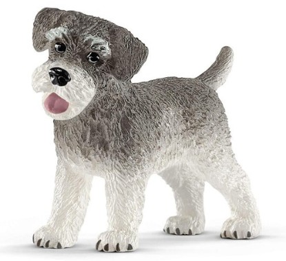 Immagine di SCHNAUZER NANO
