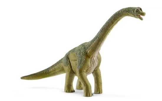 Immagine di BRACHIOSAURO