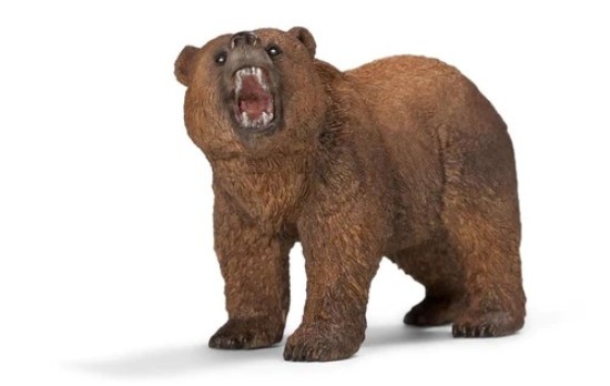 Immagine di MASCHIO DI ORSO GRIZZLY