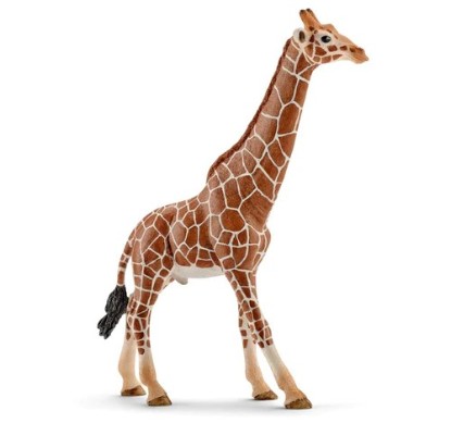 Immagine di GIRAFFA MASCHIO
