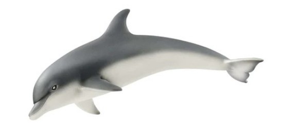 Immagine di DELFINO

