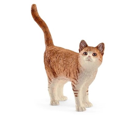 Immagine di GATTO