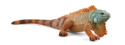 Immagine di IGUANA

