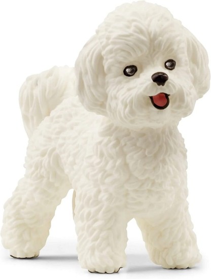 Immagine di BICHON FRISE