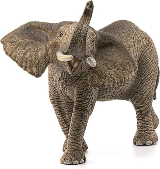 Immagine di ELEFANTE AFRICANO
