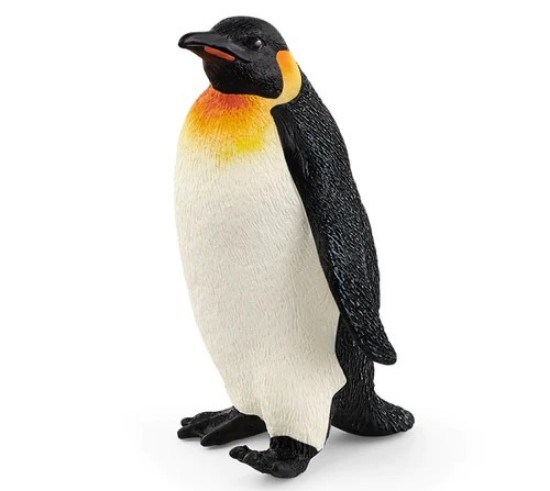 Immagine di PINGUINO