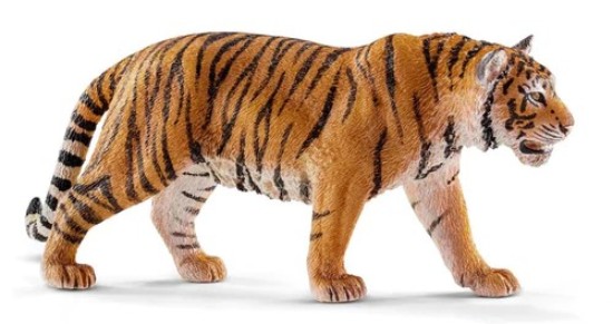 Immagine di TIGRE