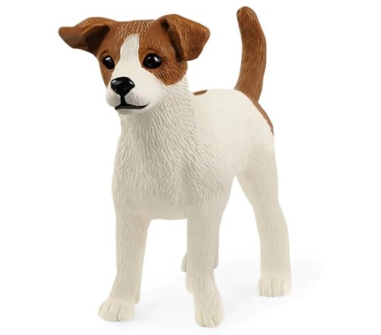 Immagine di JACK RUSSEL TERRIER