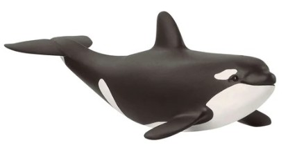Immagine di CUCCIOLO DI ORCA