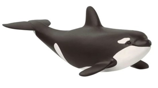 Immagine di CUCCIOLO DI ORCA