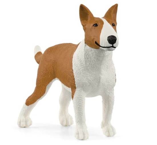 Immagine di BULL TERRIER