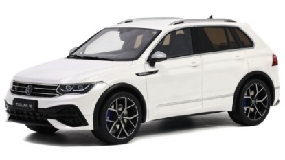 Immagine di VOLKSWAGEN TIGUAN R 2021 WHITE 1:18