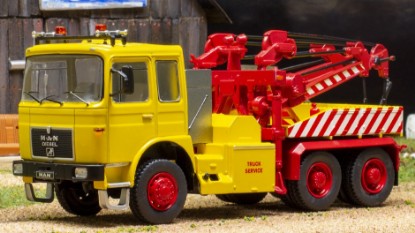 Immagine di MAN F 8 26.281 YELLOW 1:43