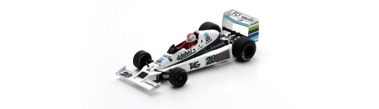 Immagine di WILLIAMS FW06 N.28 ARGENTINA GP 1979 CLAY REGAZZONI 1:43
